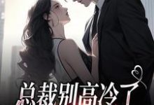 主角谢之南林乔小说总裁别高冷了,夫人离家出走了免费阅读-美文小说