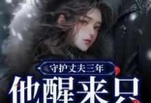 已完结小说《守护丈夫三年,他醒来只要白月光》在线阅读-美文小说