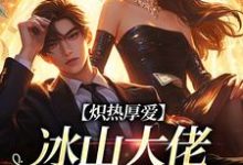 炽热厚爱:冰山大佬逼我结婚全章节免费在线阅读,陆时和周岁禾完结版-美文小说