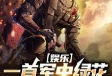 许参小说叫什么(娱乐:一首军中绿花,军嫂破防免费阅读)-美文小说