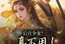 无删减版《后宫争宠?真不用!我撒个娇的事》免费阅读-美文小说