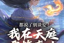 都说了别谈爱!我在天庭要搞事业林羽李梦娢小说在线章节目录阅读最新章节-美文小说