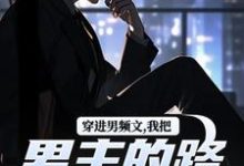 穿进男频文,我把男主的路给堵了!陆池苏语念小说在线章节目录阅读最新章节-美文小说