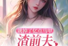 就掉了亿点马甲，渣前夫哭着求复婚小说，就掉了亿点马甲，渣前夫哭着求复婚免费阅读-美文小说