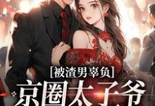 被渣男辜负,京圈太子爷化身治愈系小说在线无弹窗免费阅读-美文小说