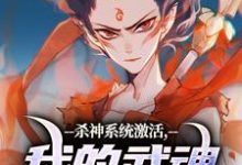 小说《杀神系统激活，我的武魂是哪吒》免费阅读-美文小说