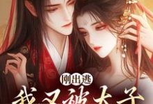 刚出逃,我又被太子绑回来了小说,刚出逃,我又被太子绑回来了最新章节-美文小说