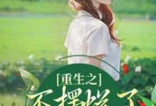 重生之不摆烂了,我要当权臣主角桑锦虞夜北辰小说无删减版在线阅读-美文小说