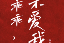 主人公叫厉霆骁江颜的小说哪里免费看-美文小说