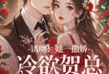 主人公叫林鹿笙贺言彻的小说哪里免费看-美文小说