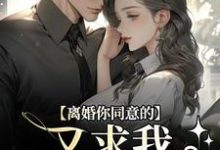 离婚你同意的,又求我复婚干什么小说在线无弹窗免费阅读-美文小说