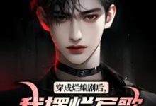 无删减版《穿成烂编剧后,我摆烂写歌爆火了》免费阅读-美文小说
