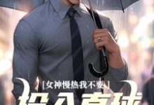 《女神慢热我不要,投入直球女怀抱》小说精彩章节免费试读,丁歌王诗雪小说在线阅读-美文小说