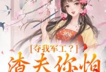 主人公叫凌朝歌南宫阎的小说哪里免费看-美文小说