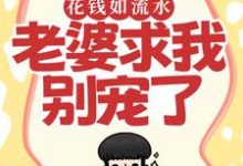 花钱如流水，老婆求我别宠了免费阅读，花钱如流水，老婆求我别宠了章节目录-美文小说
