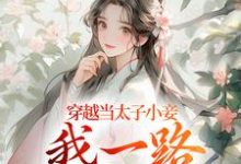 已完结小说《穿越当太子小妾，我一路扶摇直上》在线阅读-美文小说