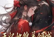 无删减版《王妃她貌美倾城,王爷你赶紧追!》全章节阅读-美文小说