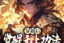 穿越后,觉醒无上功法的我要复仇了宋终,穿越后,觉醒无上功法的我要复仇了在线阅读-美文小说