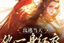 男女主人公谢怀柔沈亦之小说出逃当天,他一身红衣抢掳我免费阅读-美文小说