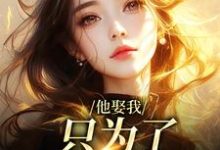 小说《他娶我,只为了替她脱罪?》在线阅读-美文小说