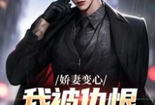 娇妻变心,我被仇恨占据了全身墨凉馨路无铭小说在线章节目录阅读最新章节-美文小说