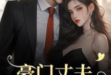 已完结小说《豪门丈夫为何一反常态,频频回家?》在线阅读-美文小说