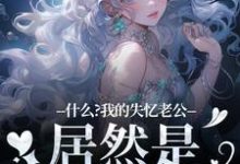 李阿曼敖光小说在线免费阅读(什么?我的失忆老公居然是东海龙王无弹窗无删减)-美文小说