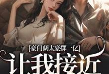 无删减版《豪门阔太豪掷一亿,让我接近她儿子》在线阅读-美文小说
