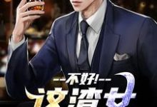 《不好!这渣女要虐死了》全集免费在线阅读(顾迟云云晚晚)-美文小说