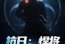 小说《抗日:悍将,他是个鬼子?》免费阅读-美文小说