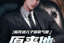 《临死被儿子拔氧气管,原来他非亲生》小说主角林子阳陆晓雪免费在线阅读-美文小说