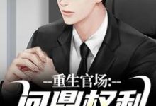重生官场:问鼎权利之巅小说,重生官场:问鼎权利之巅林峰唐雪颜无弹窗在线阅读-美文小说