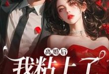 《离婚后,我粘上了那位大佬》小说大结局免费试读 陆骁舒愿小说-美文小说