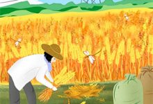 无删减版《出狱后，我被老婆背刺了》全章节阅读-美文小说