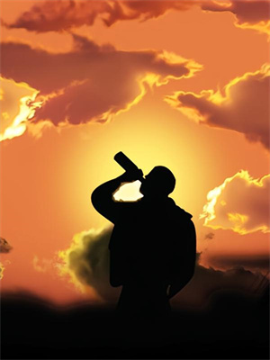 求穿成恶毒女配后，被男主求着生崽小说免费资源