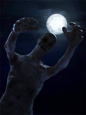 落花逢君又逢春萧寻野妍妍小说在线章节免费阅读