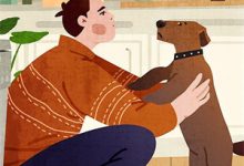 东影不再恋西窗小说完结版章节免费阅读-美文小说