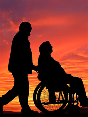 开局肉球果实，治愈罗杰后称霸旧时代吉米尔・希罗小说大结局免费试读