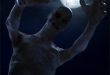 在线寻找谁与你白头成眷小说的无删减版本-美文小说