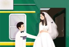 星河皆欺，唯余烬暖楚若安顾泽南小说大结局免费试读-美文小说