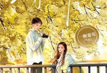 搬空家产,三岁崽崽成家属院团宠小说有没有完结版在线?-美文小说