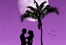 盛夏裔夜小说叫什么(霸总娇妻她是疯批美人免费阅读)-美文小说