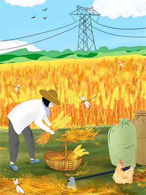 《往事烧成灰与泪》小说苏柚禾顾庭宇章节章节免费在线阅读